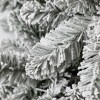 Snowy Oxford Pine 